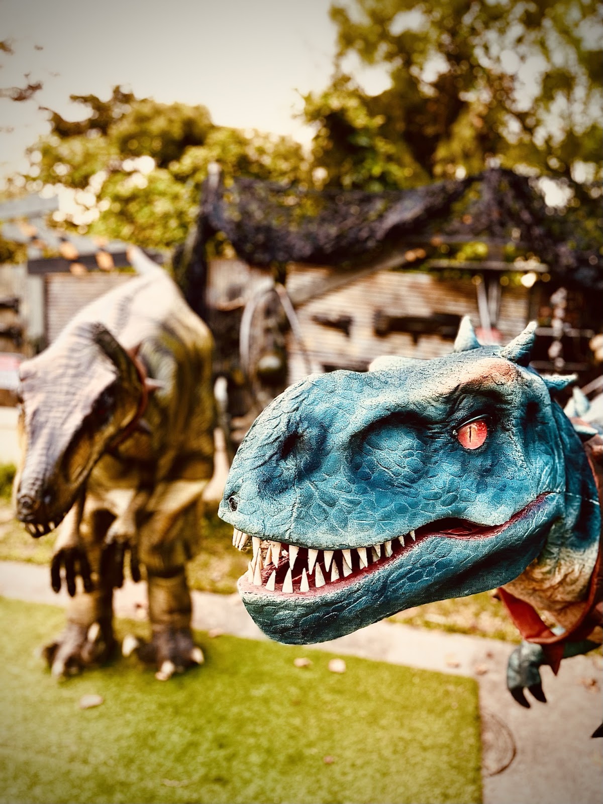 ヴィラフロムオキナワの実際の写真