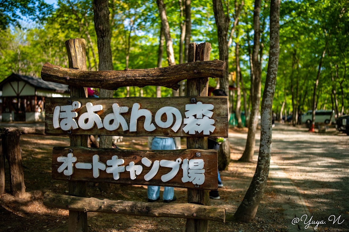 ぽよよんの森オートキャンプ場の実際の写真