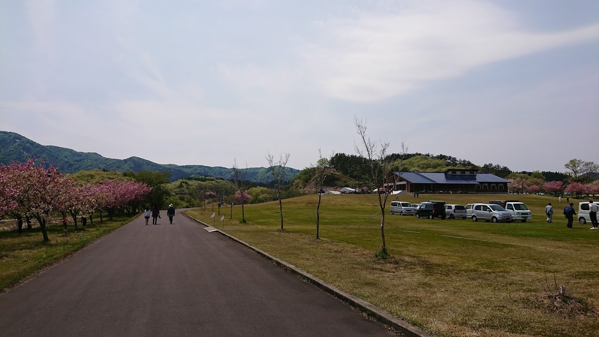 八塩いこいの森の実際の写真