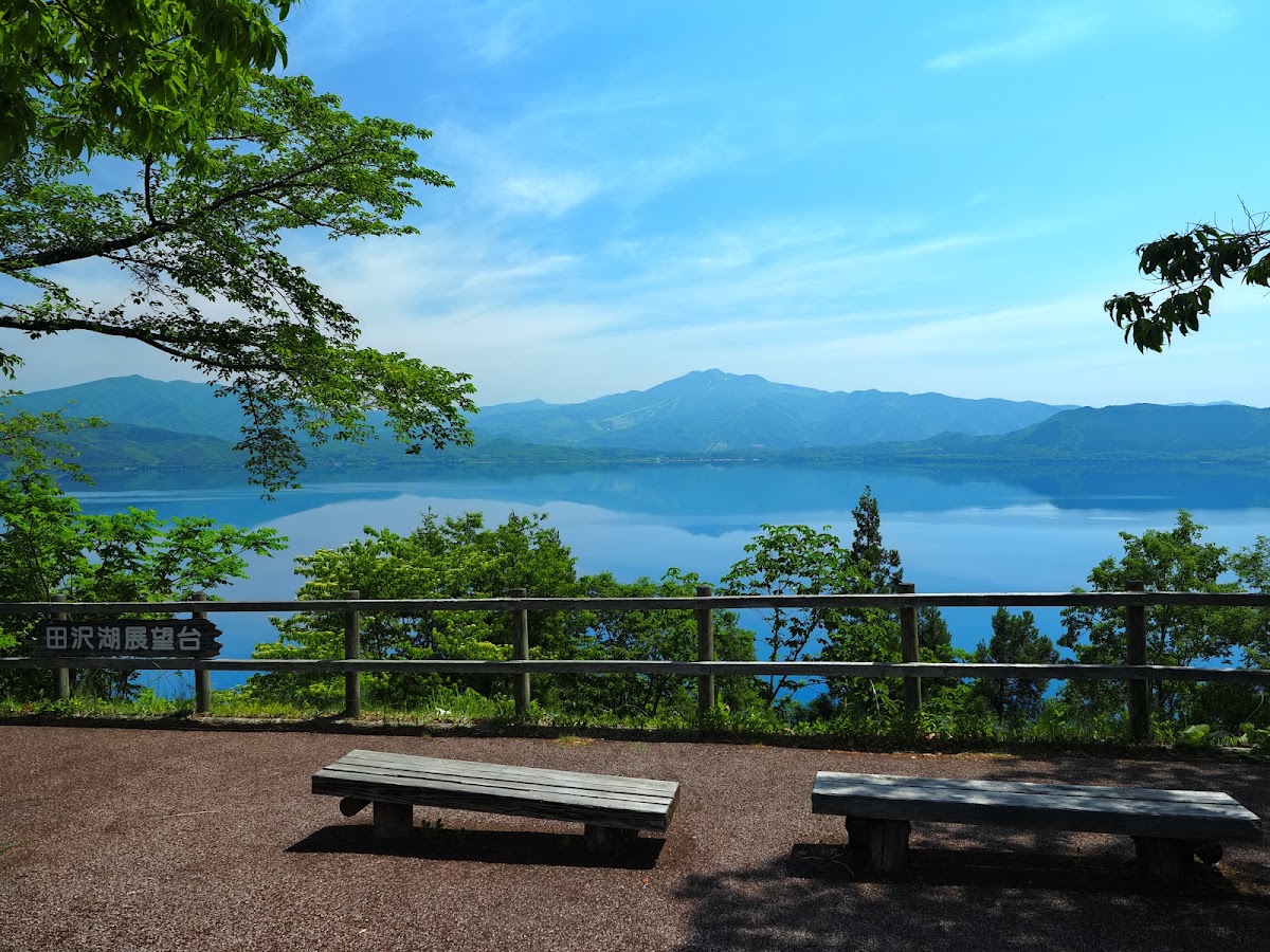 かたまえ山森林公園の実際の写真