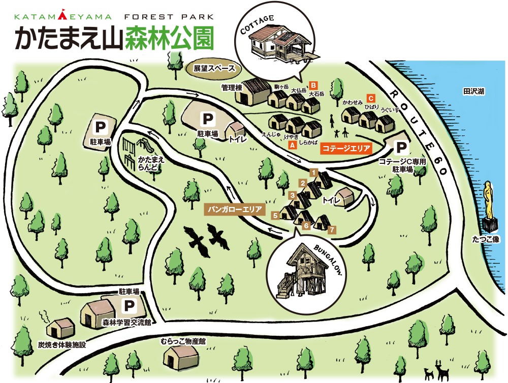 かたまえ山森林公園の実際の写真