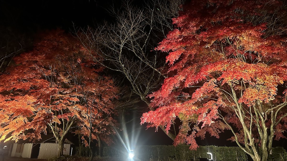 Chillax Garden CAMP.024 チラックスガーデンの実際の写真