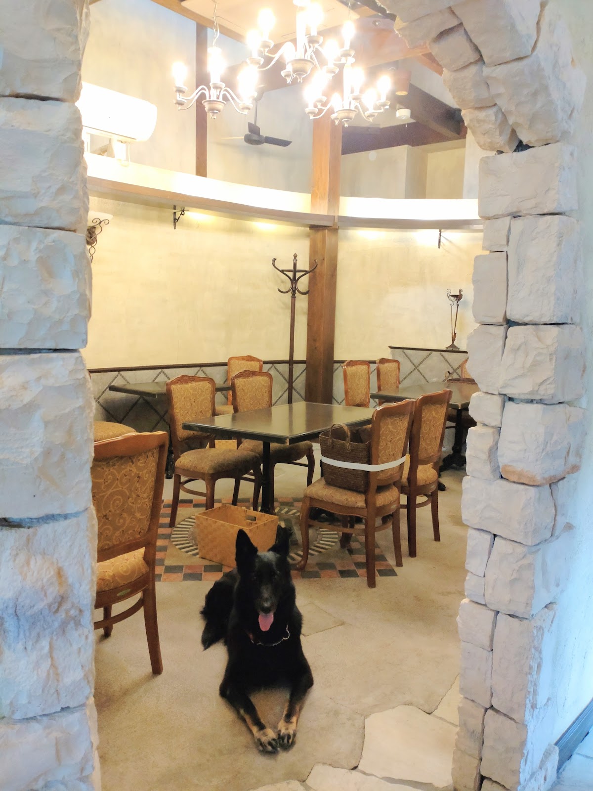 Dog Cafe さんぽ