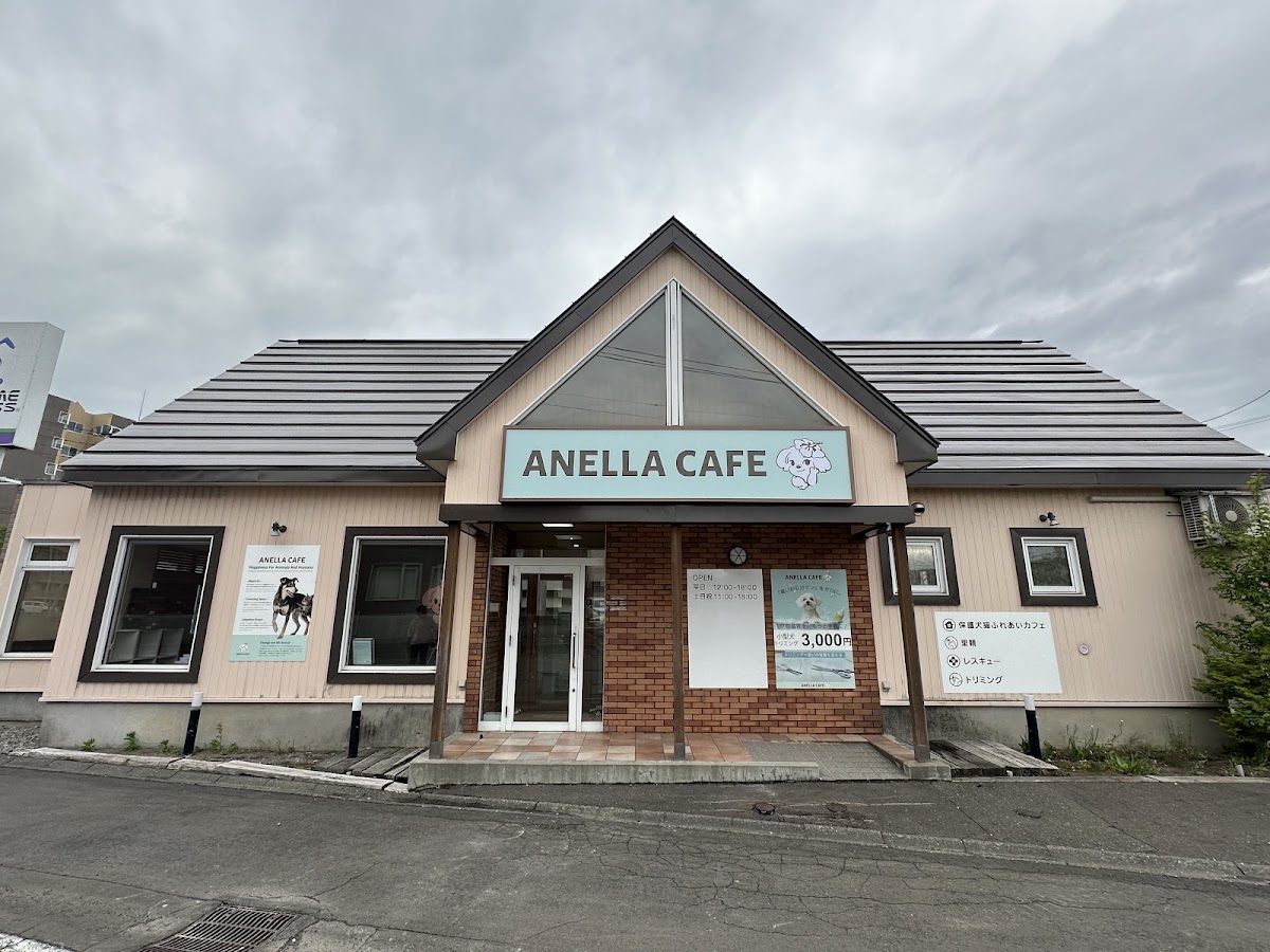 ANELLA CAFE 【保護犬猫ふれあいカフェ】江別野幌店の実際の写真