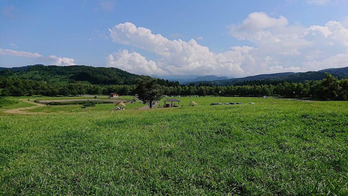 たにはま公園 ドッグラン
